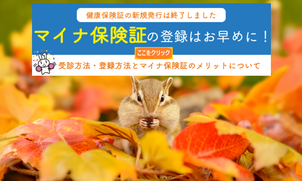 16_1リス改