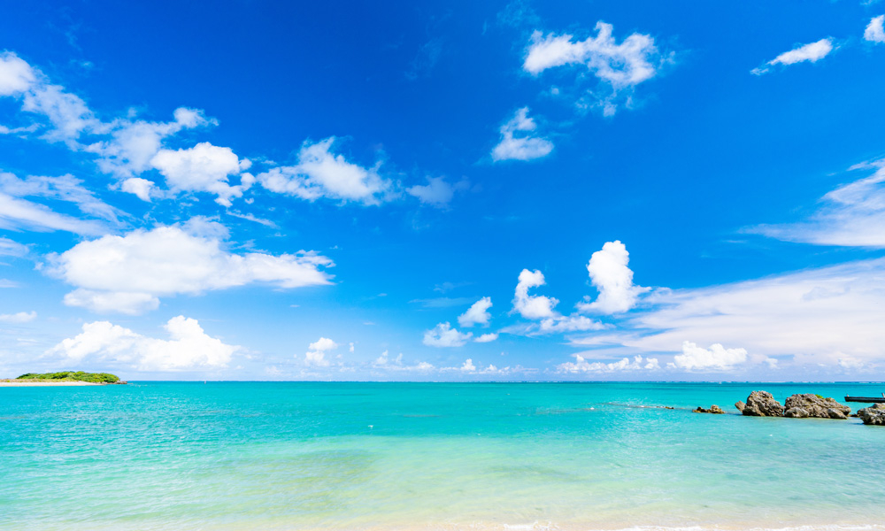 夏